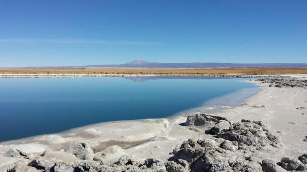 Laguna Cejar